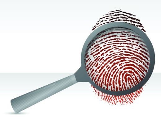 In the News: Overseas Trademark Protection; Dispute Tribunal at Expo and Gang-Related Crimes
